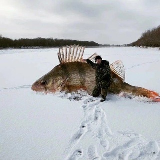 Корюшка 🥒🥒🥒🎣🎣🎣 Питер🔥🔥🔥